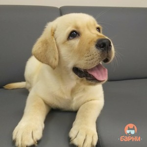 IMG_20180727_141104_472