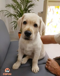 IMG_20180818_154704_721