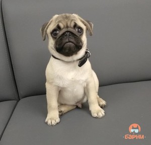 IMG_20180821_162104_308