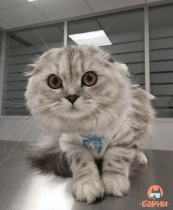 IMG_20181002_100157 (1)