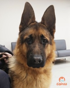 IMG_20190303_171720_750