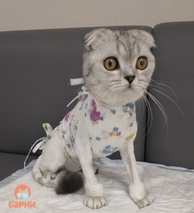 IMG_20190306_135010_335