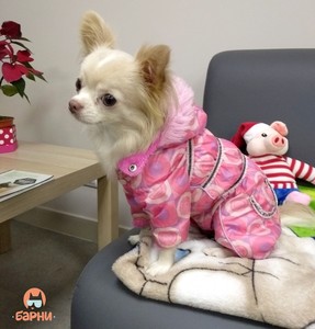 IMG_20190412_105452_839