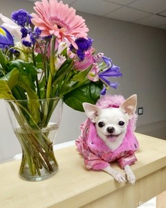 IMG_20190523_165202_648