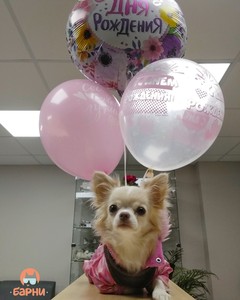 IMG_20190802_173200_433