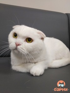 IMG_20190808_173612 (1)