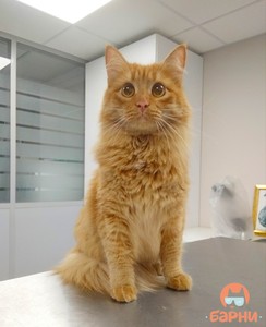 IMG_20190817_125303 (2)